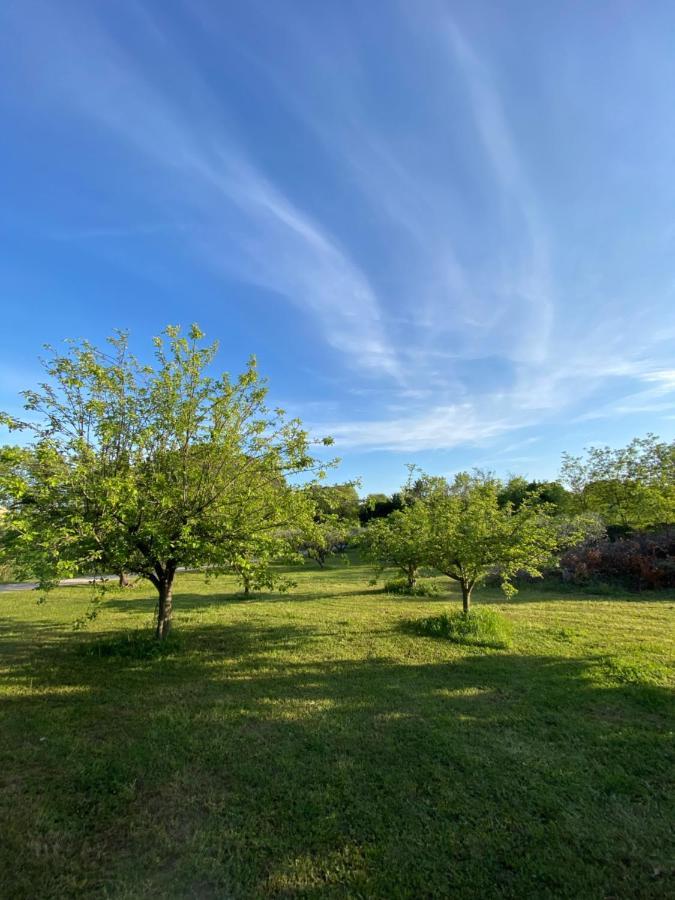 Studio Climatise Dans Un Ancien Domaine Viticole مونبيلييه المظهر الخارجي الصورة
